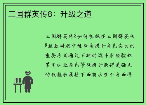 三国群英传8：升级之道